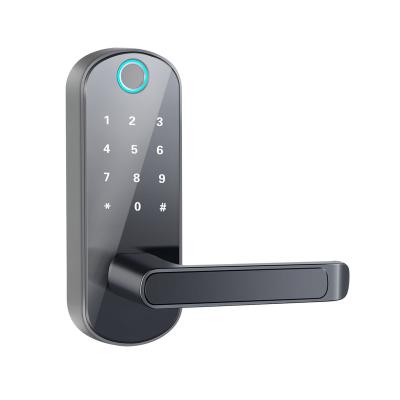 China Kingdom Z1 APP Radio Digital Fingerprint Electronic Smart Door Lock Alexa Support TTlock/Tuya de Tuya/TTlock for sale