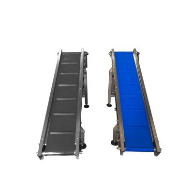 China Easy To Operate Rui Packing Hot Sale Stainless Steel Small Exit Belt Conveyor For Factory for sale