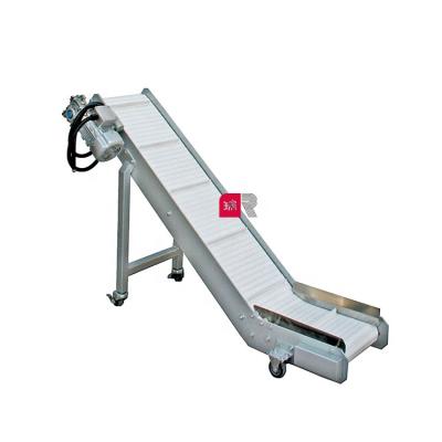 China Easy To Operate Rui Packing Hot Sale Stainless Steel Small Exit Belt Conveyor For Factory for sale