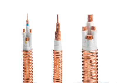 Cina 2x2.5mm2 guaina metallica di rame del cavo resistente al fuoco di IEC 60331 in vendita