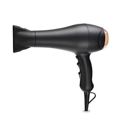 China Taiyun HD-315 Professional Ionic Wholesale Salon Hair Dryer Blow Dryer for sale