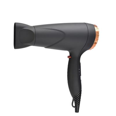 China Taiyun HD-200D Professional Ionic Ionic Hair Dryer Hair Salon Hair Blower for sale