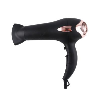 China Taiyun HD-168B Ionic Wholesale Ionic Professional Hair Salon Hair Blower for sale