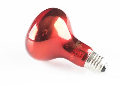 China 40W 100mm Infrared Heat Lamp Bulb Infrared Heat Globes E27 Base 600 Lumens R63 for sale