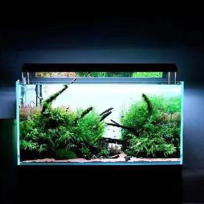 China Cost Effective Cozy Romantic Aquarium Tank Aquarium Backlight Blue Led Aquarium Lights Pendant Light for sale