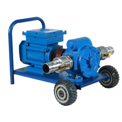 China Portable Diesel Fuel Transfer Pump DC12V/24 Cast Iron Fuel Transfer Pump for Biodiesel and Diesel Kerosene for sale