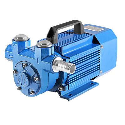 China Diesel Fuel Transfer Pump 12 Volt Fuel Transfer Pump Portable Diesel Electric Transfer Pump 12v Oil Pump for sale