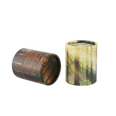 China Viable Custom Printed Bird Animal Burial Supplies Scatter Tube Small Cremation Ashes Pet Urn Biodegradable for sale