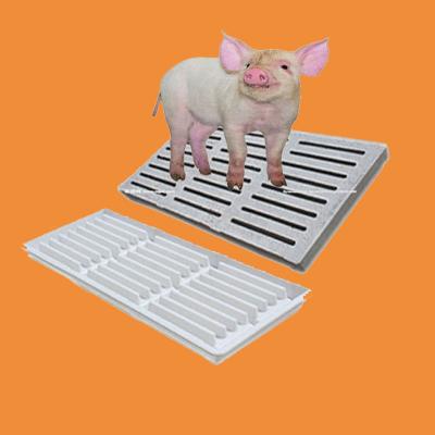 China Euro Engineering polyethylene plastic mould for concrete leakage slats of pigs for sale