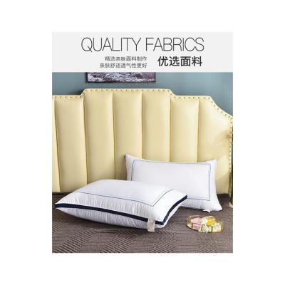 China Large Capacity Viable Bamboo Inflatable 5 Star Hotel Pillow High Grade Core for sale