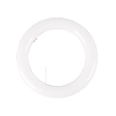 China desktop fluorescent replacement g10q 4pins T9 electronic ballast led lamp round circline bulb ring circle tube lighting for sale