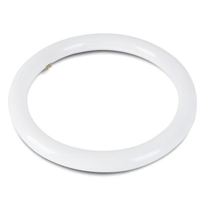 China plug and play 8 12 16 inch 215mm 300mm 400mm 15w 18w 20w 22w 32w g10q T9 led round circline lamp bulb ring circle tube lighting for sale