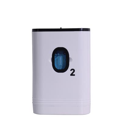 China Optional Hot Selling 1L 5L Oxygen Concentrator Atomization Portable Oxygen Machine For Home Use for sale