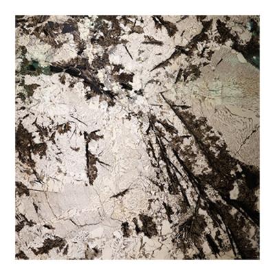 China Bianco Antico Platinum Silver Gray Modern Regular Coating Stone Tile Paving Ivory Granite Polished Slab Quartzite for sale