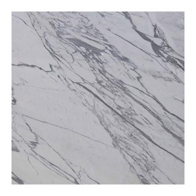 China Modern Living Room Lobby Superb Arabescato Corchia Snow Vinyl Flooring Design and Decoration Slabs Statuary Marble Tile for sale