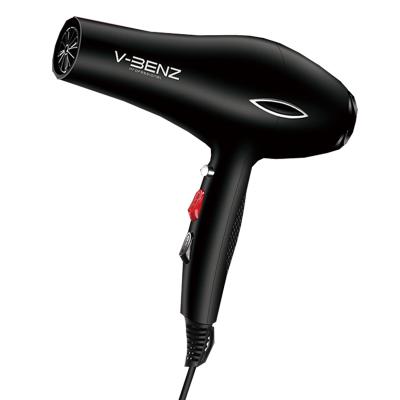 China 2021 Hot Sale Ionic Salon Hair Dryer Barber Hair Styling Blow Dryer Professional Hair Dryer Hair Dryer for sale