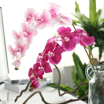 China Latex China Home Decor Fake Flower Phalaenopsis Butterfly Orchid Artificial Flowers Real Touch Wholesale Decoration for sale