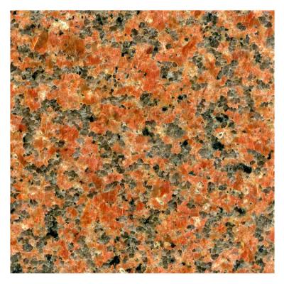 China Modern Factory In China Tianshan Outdoor Popular 400x400 Red Color Granite Flooring Tiles for sale