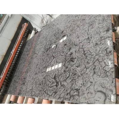 China China Tiger Gray 20*20 Gray Color Marble Thin Floor Tiles Anti Slip Modern Supplier for sale