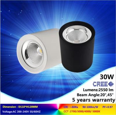 China 4000K 30W good design COB LED downlight NEW ceiling mounted lamps for commercial light for sale