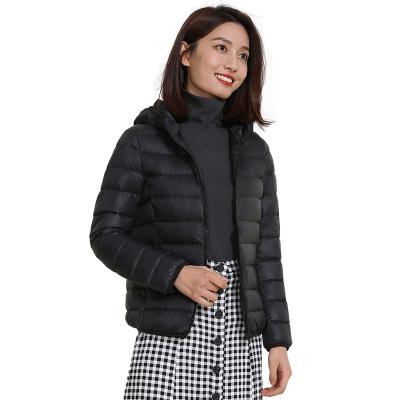 China Other good quality plus size down jacket women hooded puffy jackets lightweight down jacket for sale