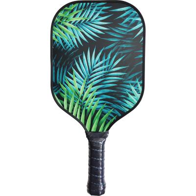 China As Best Customized Logo Price Hot Sale Customized Fiberglass With Balls As Pickleball Paddle Set For Outdoor Sports for sale