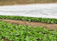 China White pp spunbond mulch film for vegetables Te koop