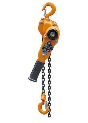 China 1.5 Ton Hand Chain Hoist , Electric Chain Hoists Easy To Use Optional Color for sale