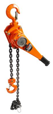 China 1 Ton Chain Lever Hoist with Durable Steel Lever and Alloy Steel Chain for sale