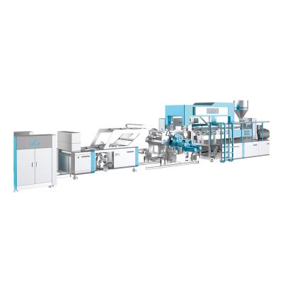 China Sheet FJL--PC-100-C Diagonal and horizontal single layer sheet extrusion for sale