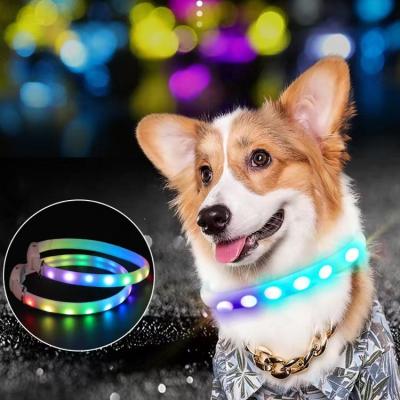 China Lights LED Dog Collar USB Rechargeable Night Light Pet Dog Cat Safety Glowing  Adjustable Pet Supplies Collars for sale