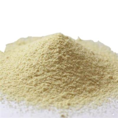 China No Extra Whole Sale NON-GMO Whole Sale Non-GMO Original Green Organic Soy Flour Powder for sale