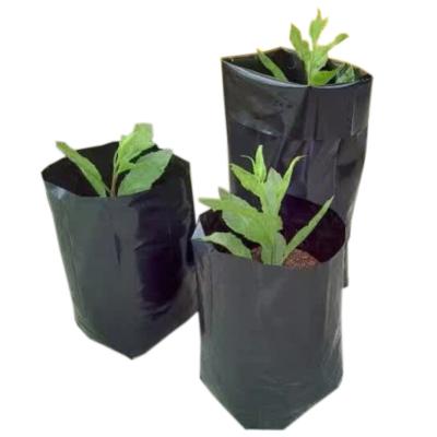 China Recyclable UV Resistant Plastic Nursery Bags Plant for sale