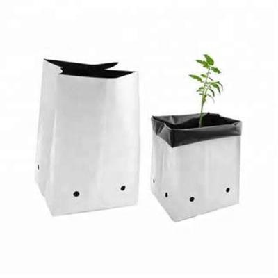 China Agriculture BIODEGRADABLE Polybag Planting Nursery Poly Bag for sale