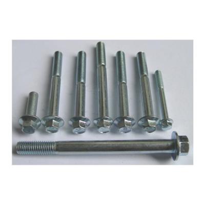 China Metal Buliding A2 A4 SS304 SS316 316L B8 B8M B8t Stainless Steel Hex Hex Hex Head Flange Serrated Bolt DIN6921 for sale