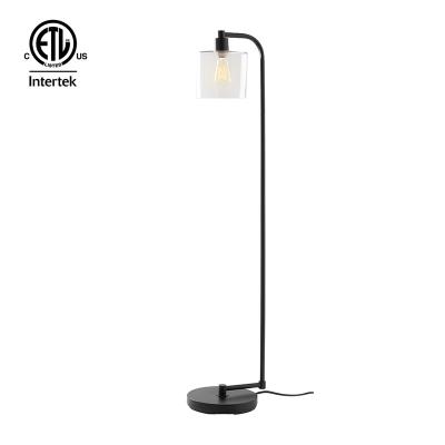 China Modern Metal Design Matte Black Finish Floor Lamp European Minimalist Glass Floor Light Standing Light Floor Lamps for sale