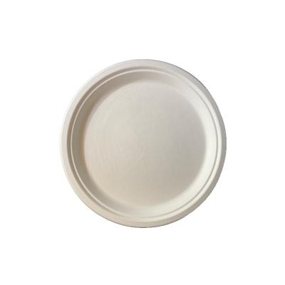 China Disposable Sugarcane Fiber 10inch Round Freezable Eco - Friendly Microwavable Dish For Dinner for sale