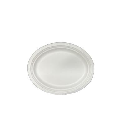 China 10inch Bagasse Eco Friendly Disposable Oval Dish Disposable Barbecue Food Disposable Outdoor Dish for sale