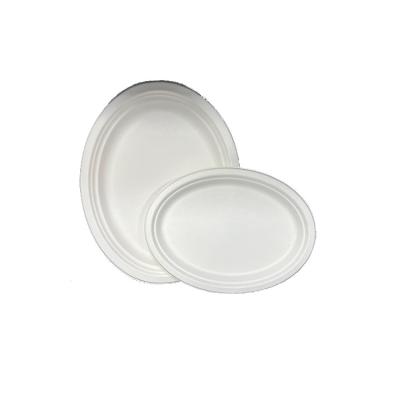 China Disposable Oval Dish 12inch White or Natural Disposable Dish Natural Biodegradable Bagasse Disposable Tableware for sale