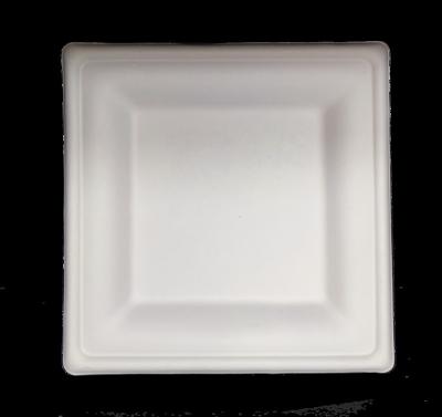 China 10inch Disposable and Compostable Square Dish Disposable Sugarcane Environmental Friendly Compostable Tableware for sale