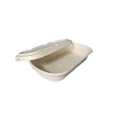 China Wholesale Eco-Friendly Disposable Biodegradable Compostable Within 90 Day To Go Food Container 700ml Oval Oval Box With Lid PP Bento Boxes With Separate Lid for sale