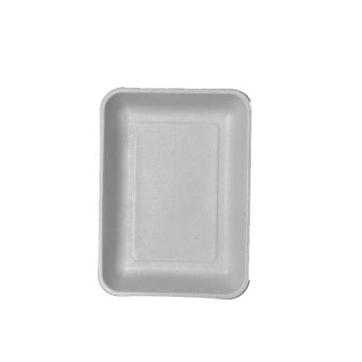 China Disposable Customization Biodegradable Food TR9P Tray Plate Disposable For Sugarcane Lunch and Dinner for sale