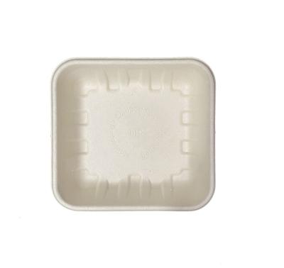 China Biodegradable Customize Logo 100% Compostable Food Packaging Sugarcane 14D Bagasse Disposable Tray for sale