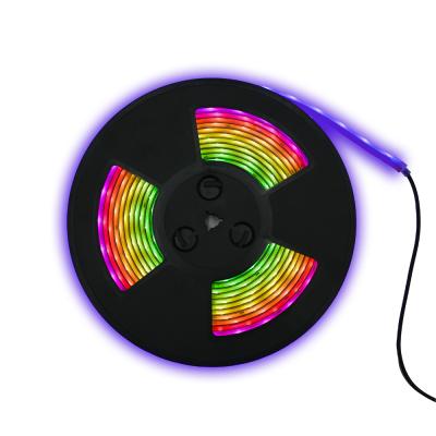 China LANDSCAPE 10m 12V RGBIC 5050 LED Strip Light Flexible Full Color Neon Waterproof IP67 Neon Rope for sale