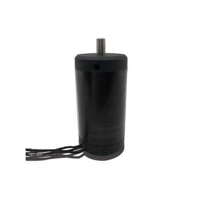 China F5095120 24V Waterproof Motor Black High Torque Brushless DC Motor For Boat for sale