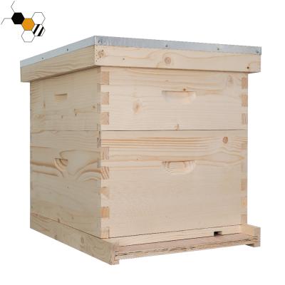 China Farms Beekeeping Equipment Wooden Bee Hive For Sale Bee Hives for sale