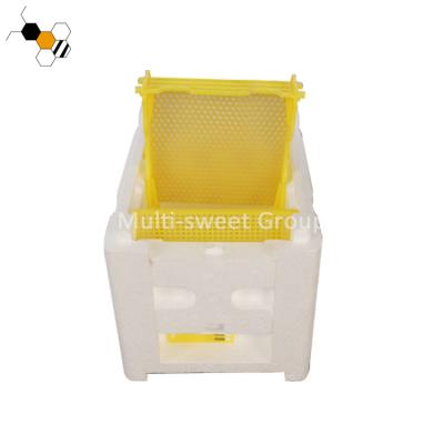 China Mini Bee Farm Queen Bee Nuc Nuc Mating Boxpolystyrene Plastic Foam Boxes for sale