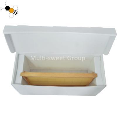 China Farms Queen Raising Plastic PP Core Hive Nuc Bee Box for sale