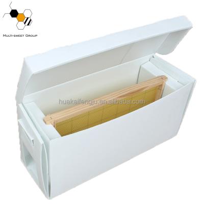 China Nuc Box Trade Assurance 5 Boxes Corrugated PP Nuc Bee Box for sale