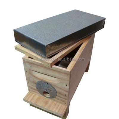 China Nuc Core Hive Bee Queen Bee Box Beekeeping Material for sale